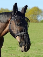 Maska przeciw owadom York z frędzlami na nos