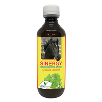 Sinergy Union Bio multiwitaminy i minerały