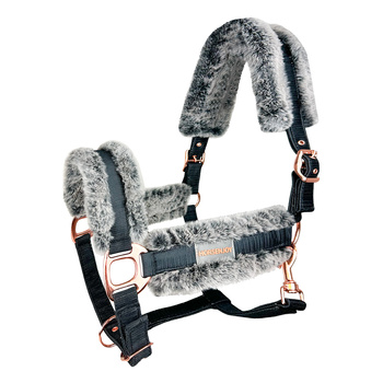 Kantar Horsenjoy Kayla